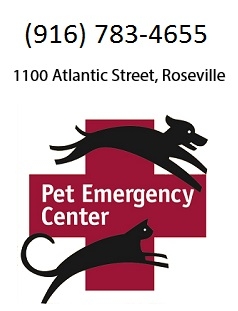 Atlantic Street Veterinary Hospital